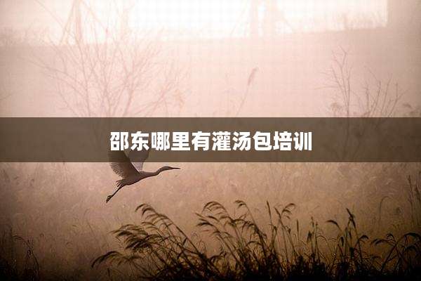 邵东哪里有灌汤包培训
