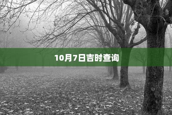 10月7日吉时查询