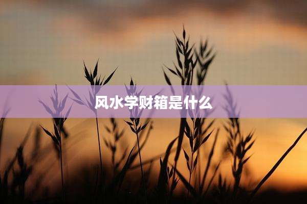风水学财箱是什么