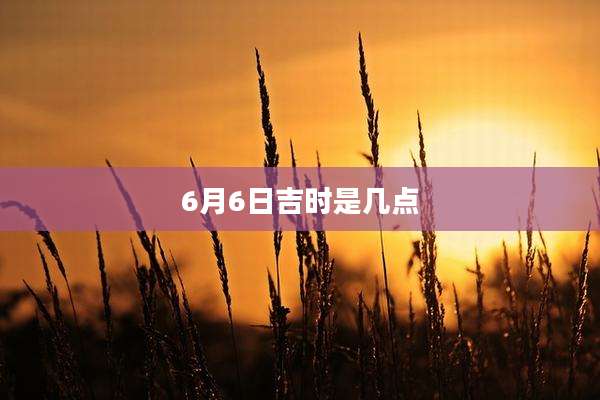 6月6日吉时是几点
