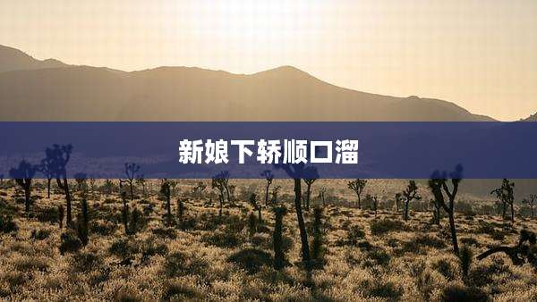 新娘下轿顺口溜