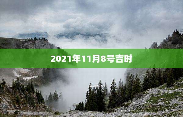 2021年11月8号吉时