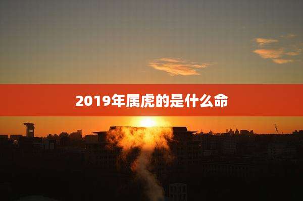 2019年属虎的是什么命