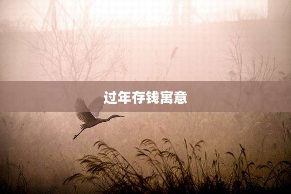 过年存钱寓意