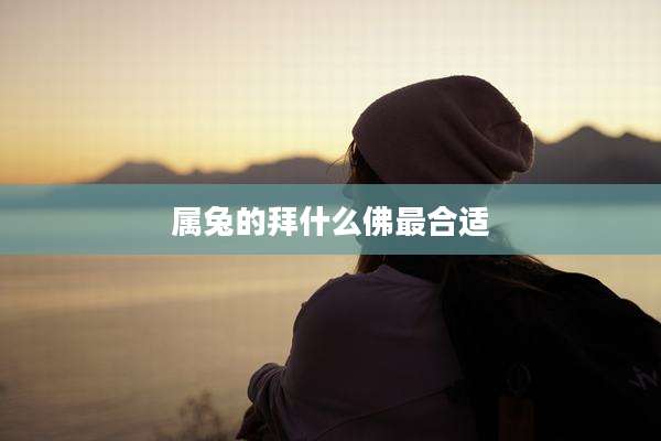 属兔的拜什么佛最合适