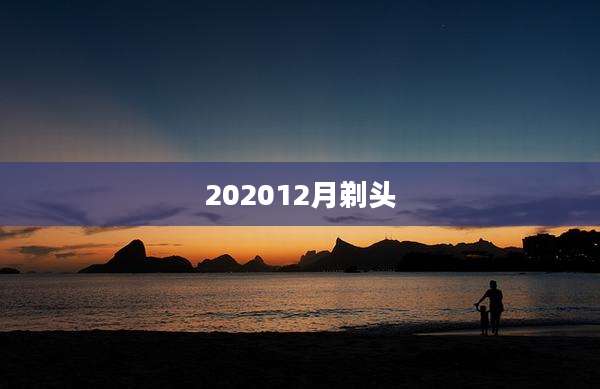 202012月剃头
