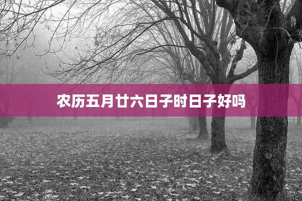 农历五月廿六日子时日子好吗