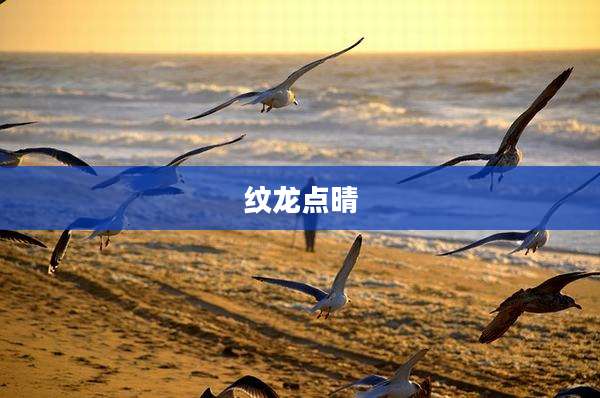 纹龙点晴