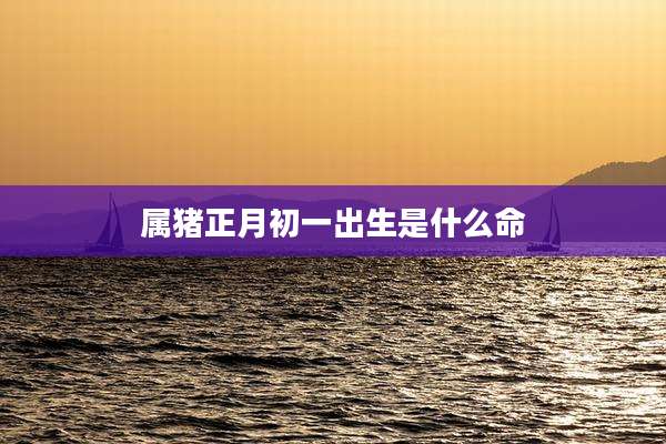 属猪正月初一出生是什么命