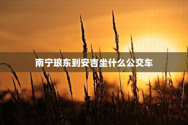 南宁琅东到安吉坐什么公交车