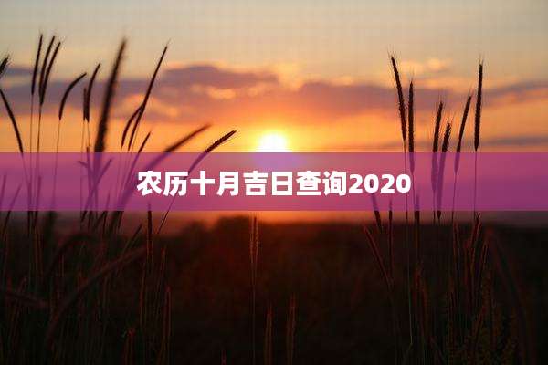 农历十月吉日查询2020
