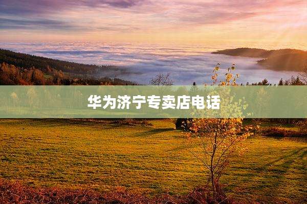 华为济宁专卖店电话