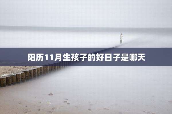 阳历11月生孩子的好日子是哪天