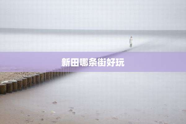 新田哪条街好玩