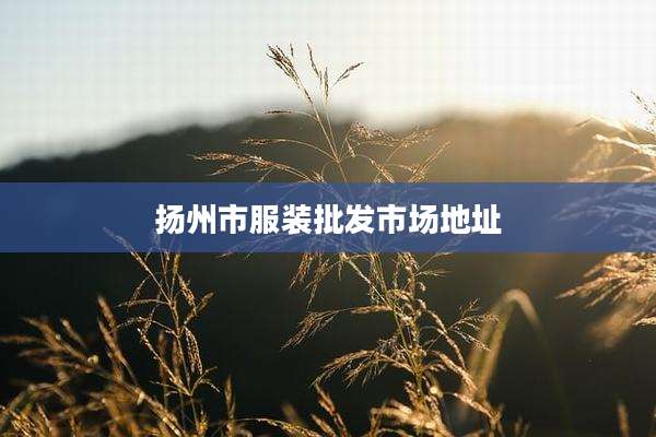 扬州市服装批发市场地址
