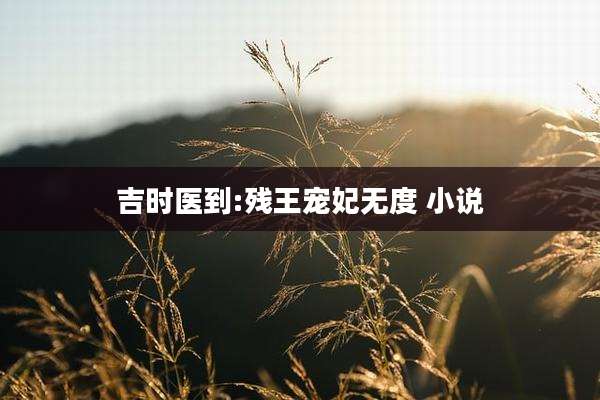 吉时医到:残王宠妃无度 小说