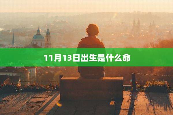 11月13日出生是什么命