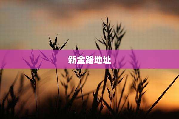 新金路地址