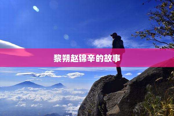 黎朔赵锦辛的故事