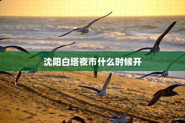 沈阳白塔夜市什么时候开