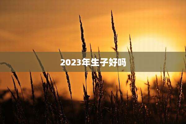 2023年生子好吗
