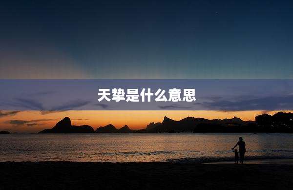 天挚是什么意思