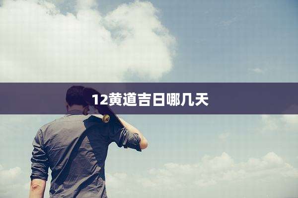 12黄道吉日哪几天