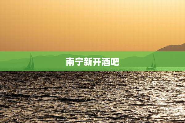 南宁新开酒吧