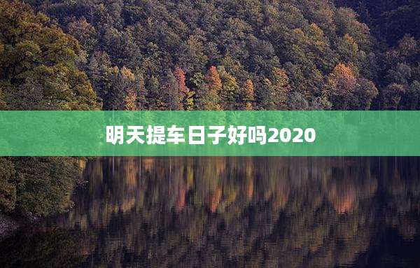 明天提车日子好吗2020