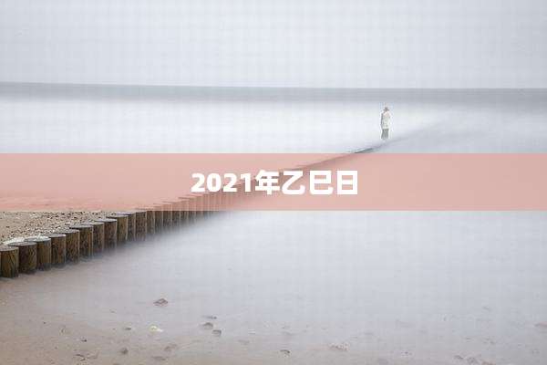2021年乙巳日