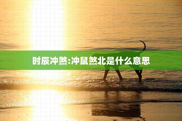 时辰冲煞:冲鼠煞北是什么意思