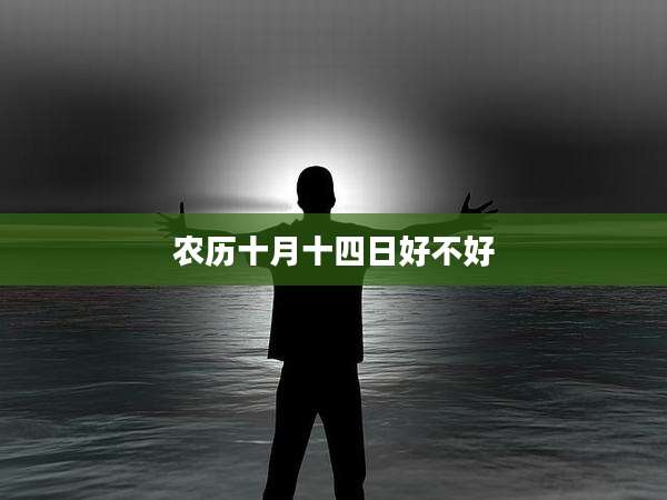农历十月十四日好不好