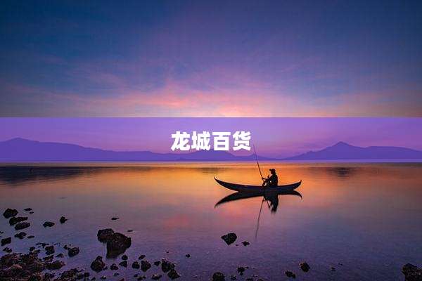 龙城百货