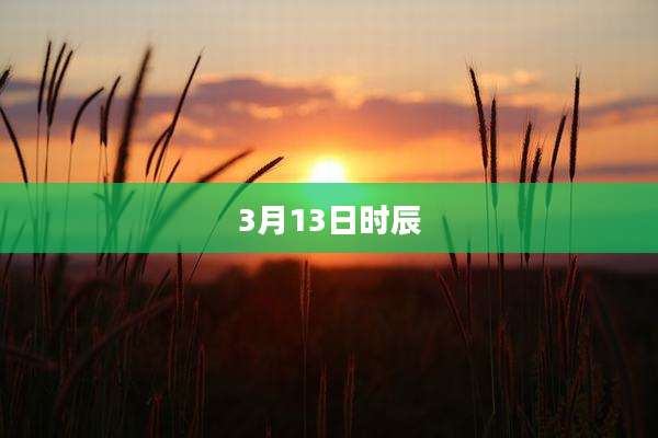 3月13日时辰