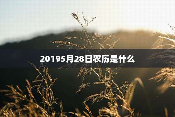 20195月28日农历是什么