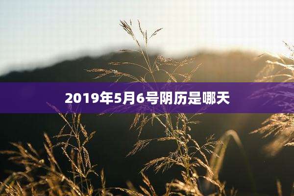 2019年5月6号阴历是哪天