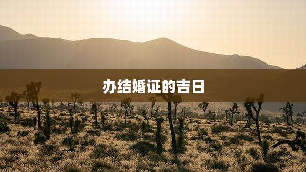 办结婚证的吉日