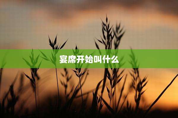 宴席开始叫什么