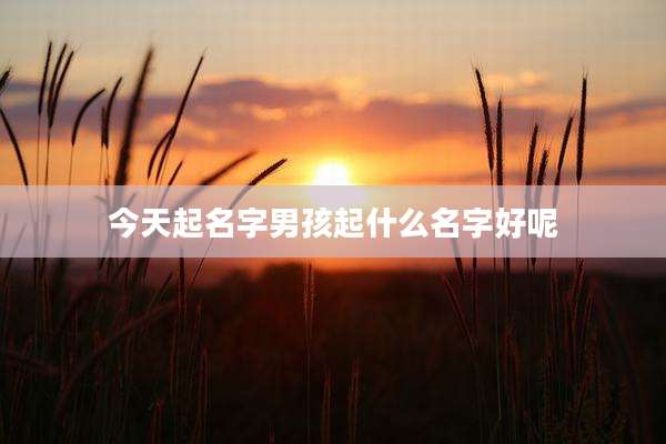 今天起名字男孩起什么名字好呢