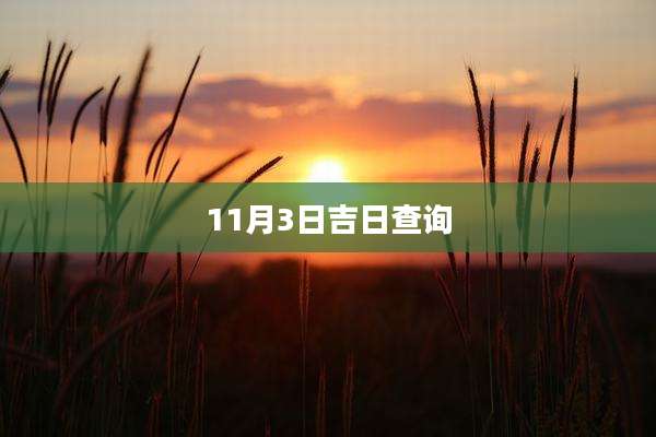 11月3日吉日查询