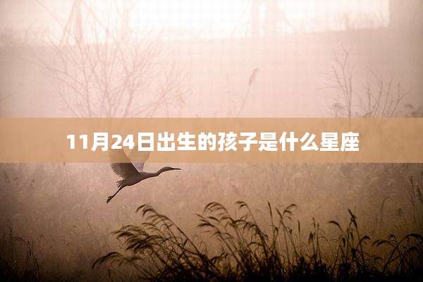 11月24日出生的孩子是什么星座