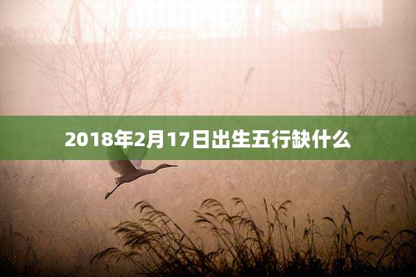 2018年2月17日出生五行缺什么