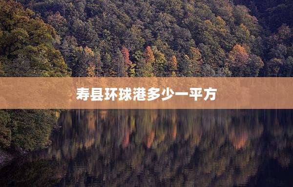 寿县环球港多少一平方