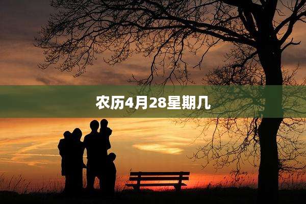 农历4月28星期几