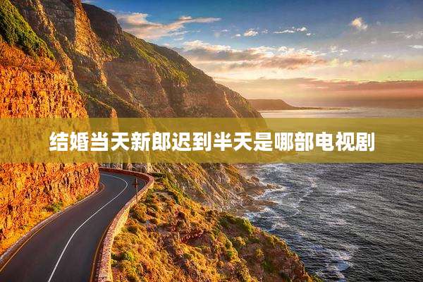 结婚当天新郎迟到半天是哪部电视剧