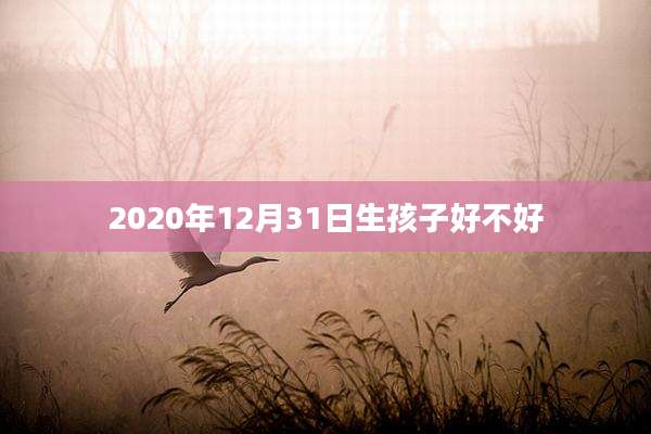 2020年12月31日生孩子好不好