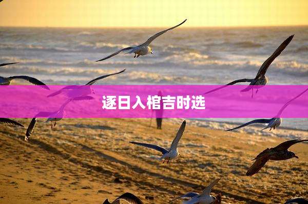 逐日入棺吉时选
