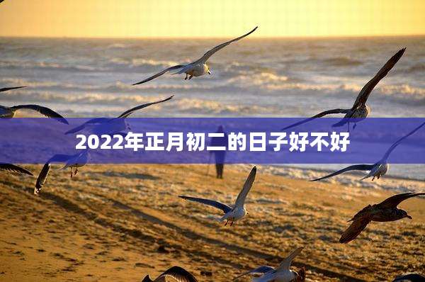 2022年正月初二的日子好不好