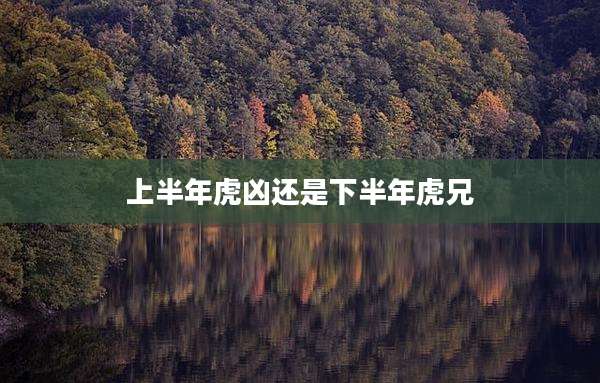上半年虎凶还是下半年虎兄