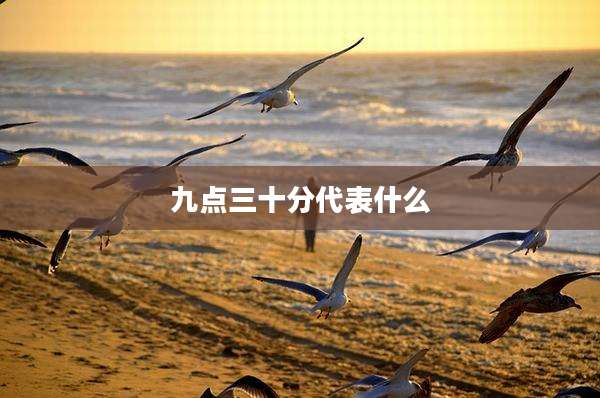 九点三十分代表什么